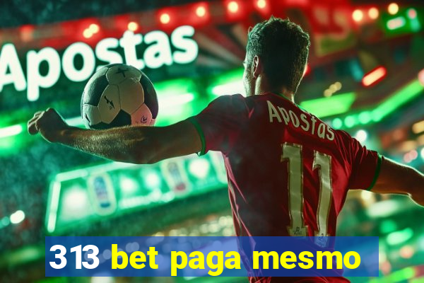 313 bet paga mesmo